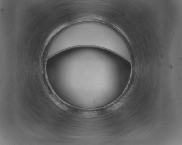 X0000081471026200701121010