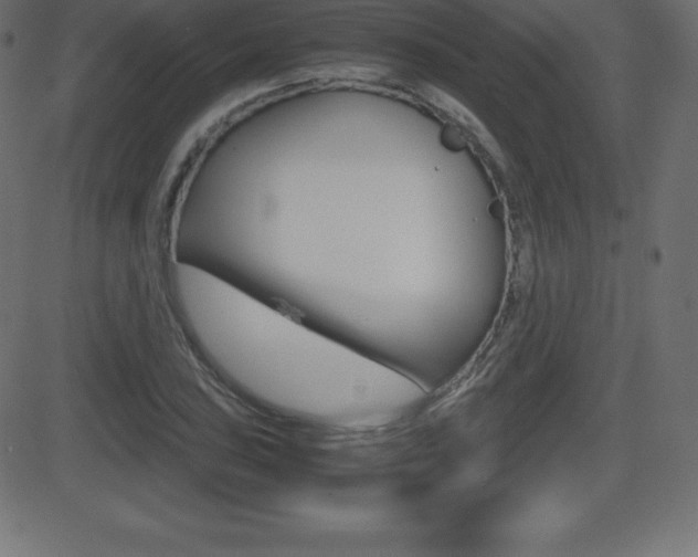 X0000081471027200701121010