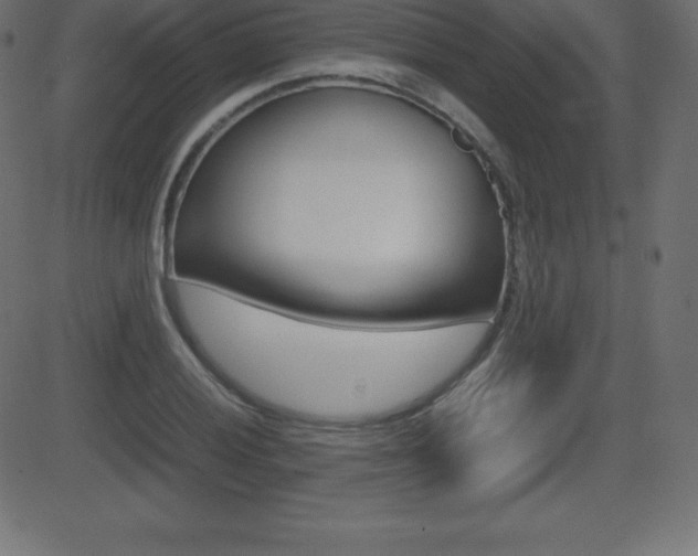 X0000081471028200701121010