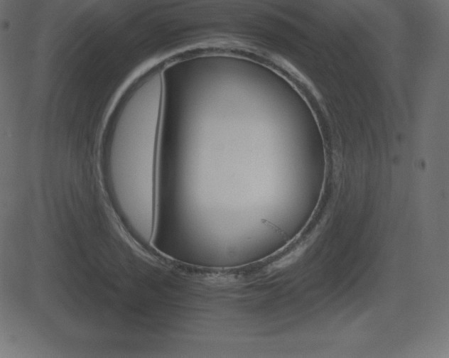 X0000081471029200701121010