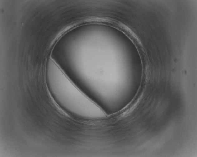 X0000081471033200701121010
