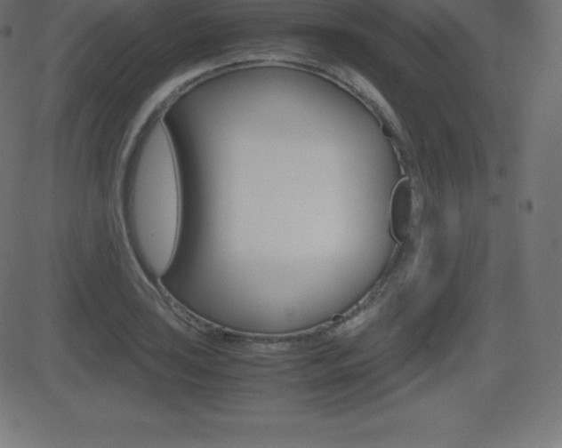 X0000081471035200701121010