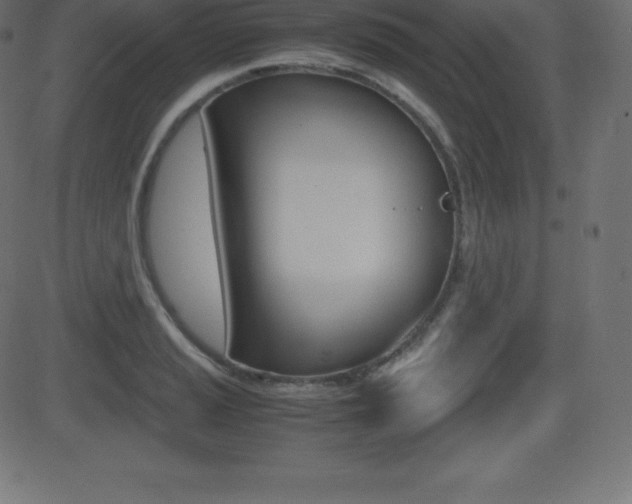 X0000081471037200701121010