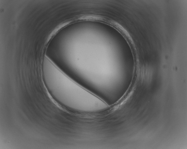 X0000081471041200701121010