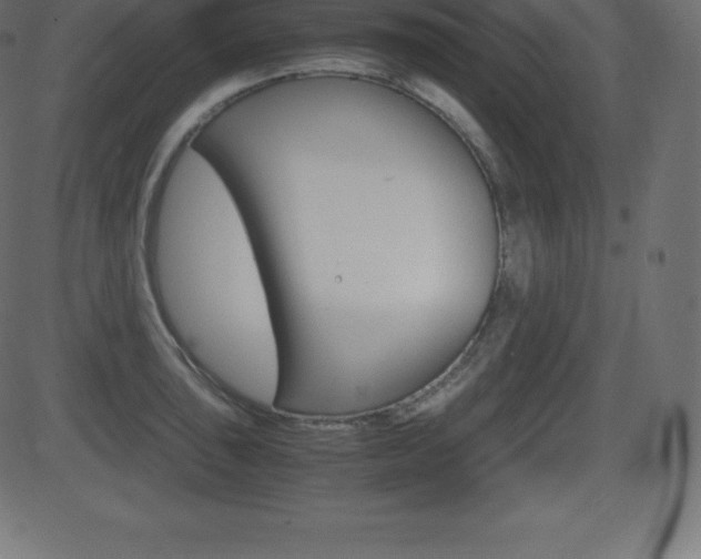 X0000081471043200701121011