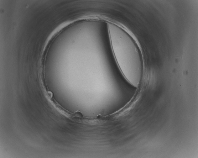 X0000081471045200701121011