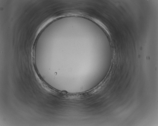 X0000081471047200701121011