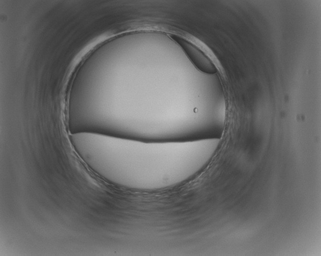 X0000081471051200701121011