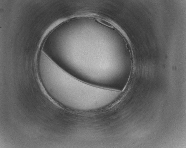 X0000081471053200701121011