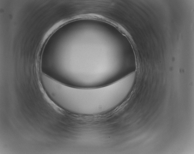 X0000081471054200701121011