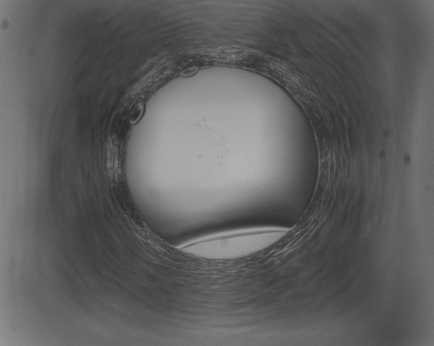 X0000081471058200701121010