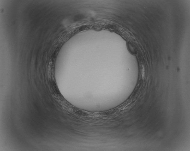 X0000081471059200701121010