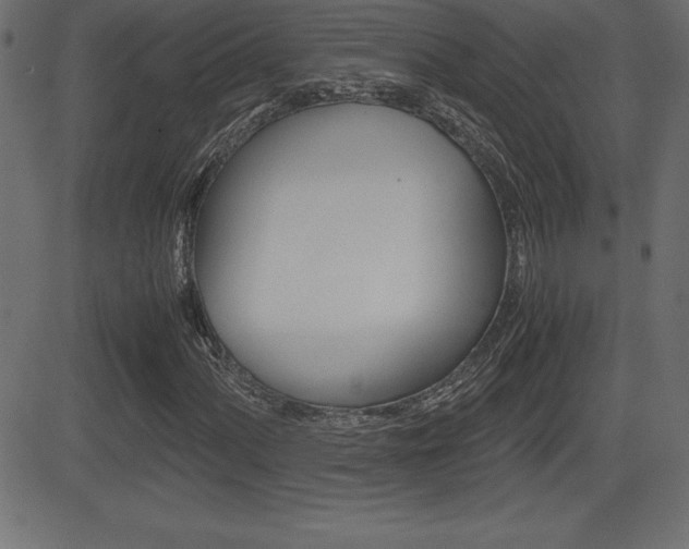 X0000081471060200701121010