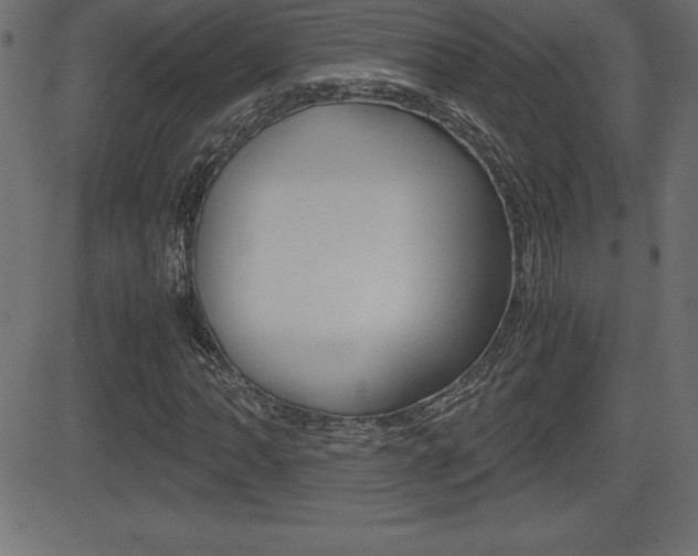 X0000081471062200701121010