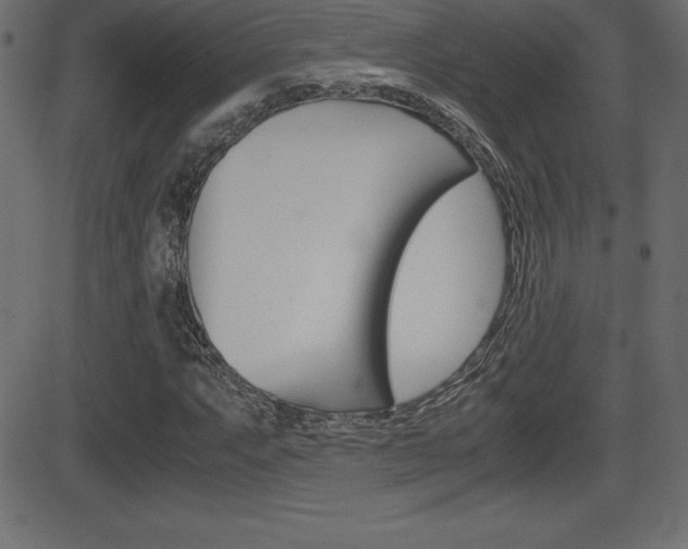 X0000081471063200701121010