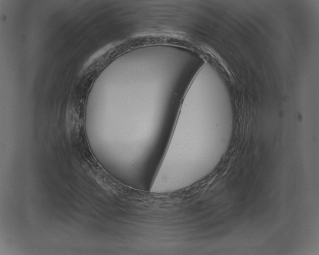X0000081471064200701121010