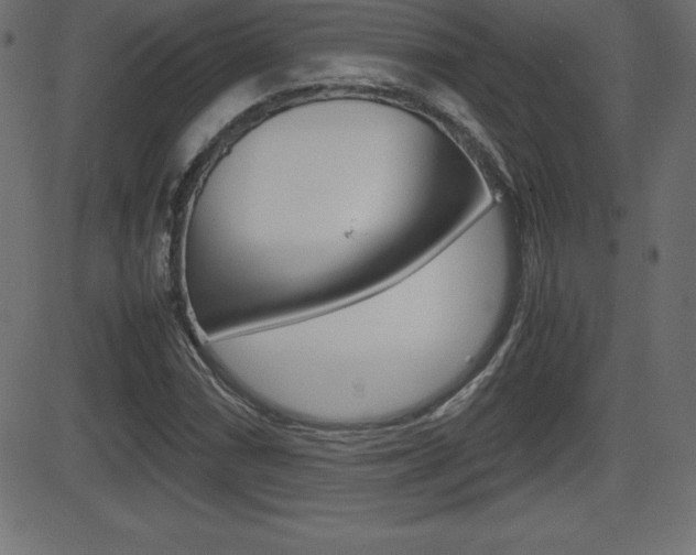 X0000081471066200701121010