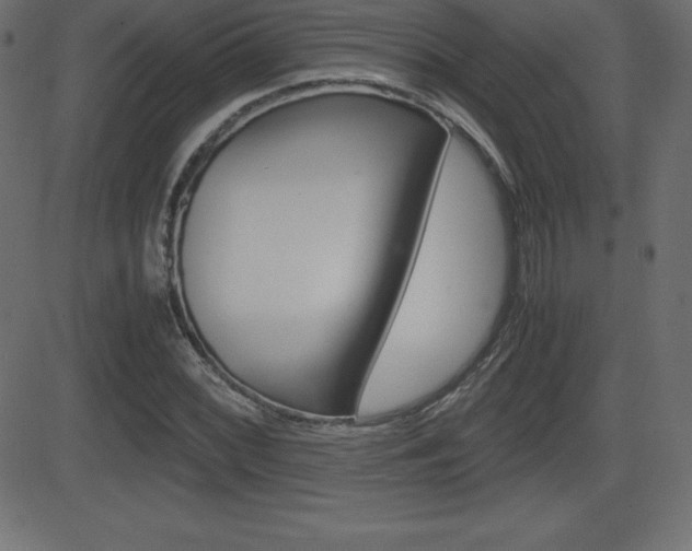 X0000081471068200701121010