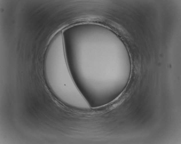 X0000081471073200701121010