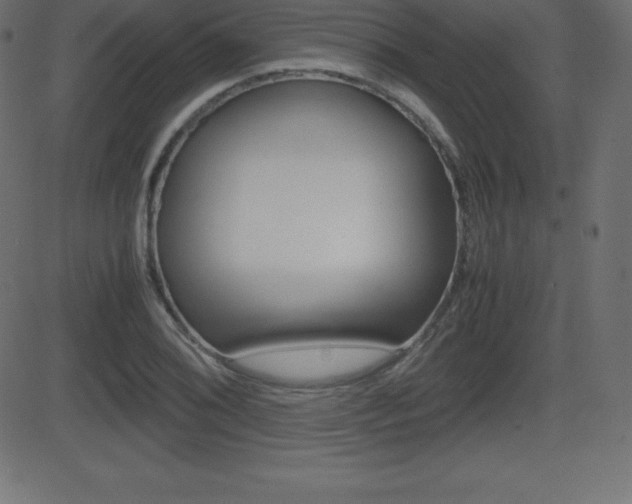 X0000081471076200701121010
