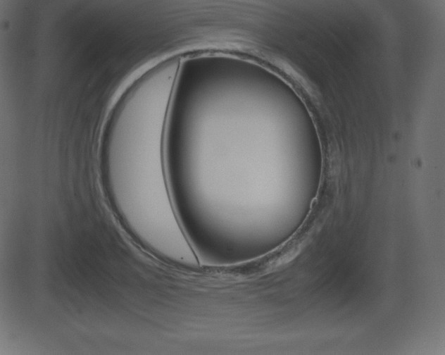 X0000081471077200701121010
