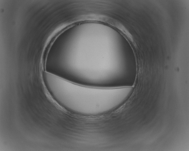 X0000081471080200701121010