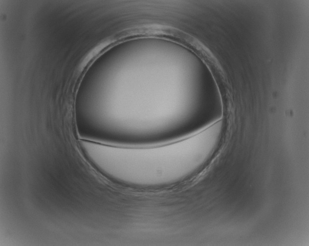 X0000081471081200701121010
