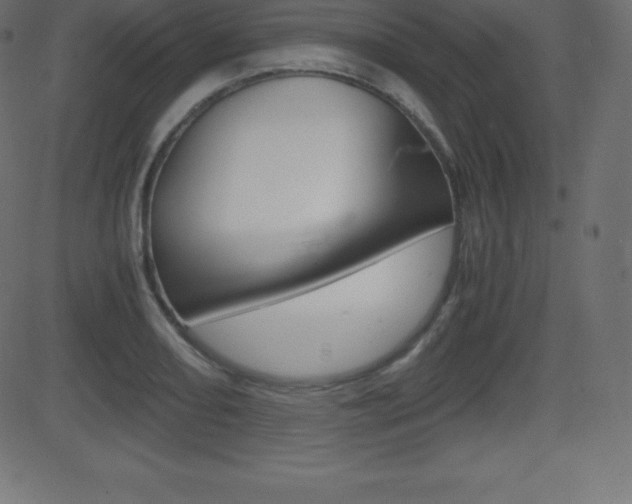 X0000081471082200701121010
