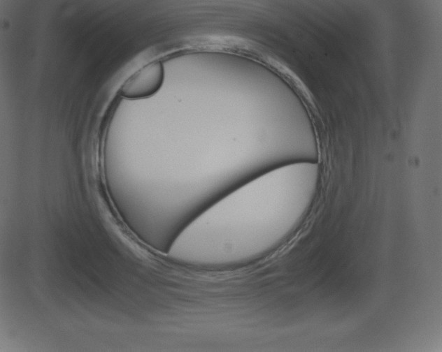 X0000081471083200701121010