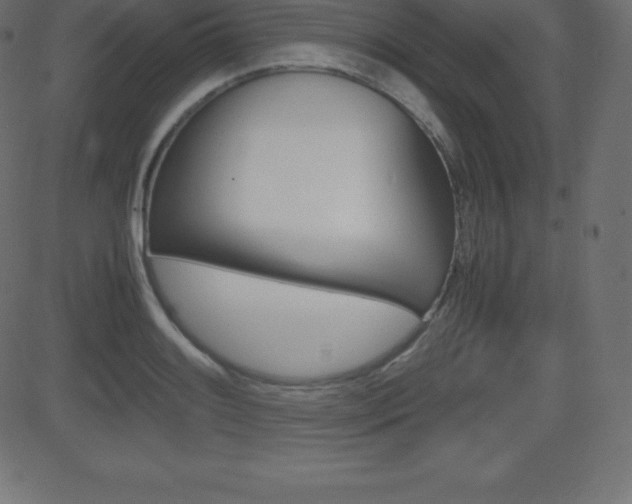 X0000081471084200701121010