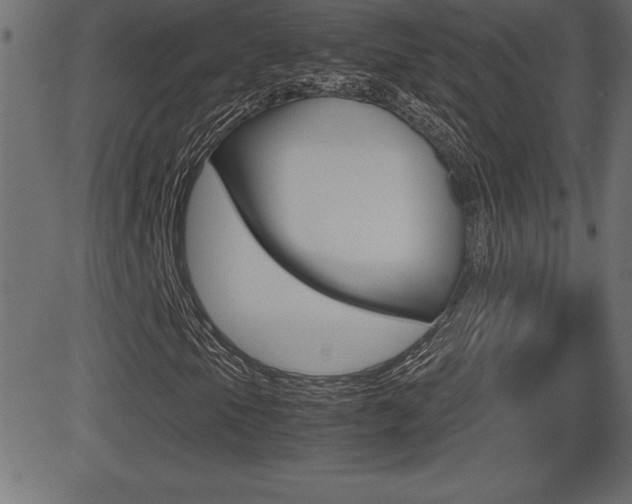 X0000081471105200701121008