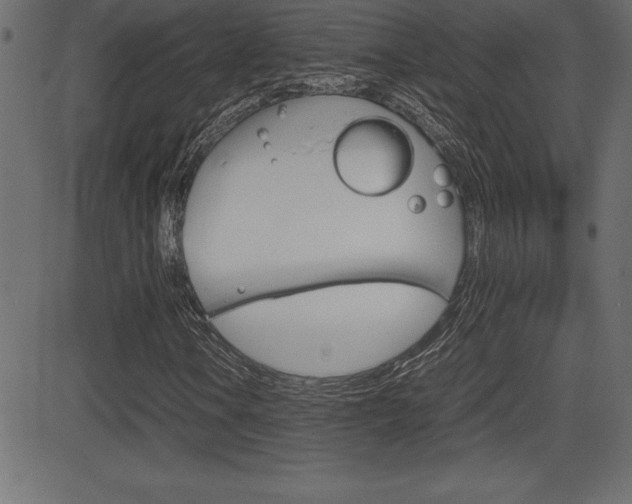 X0000081471106200701121008