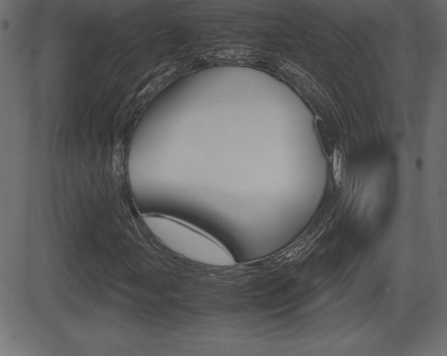 X0000081471107200701121008