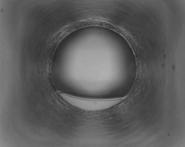 X0000081471110200701121008