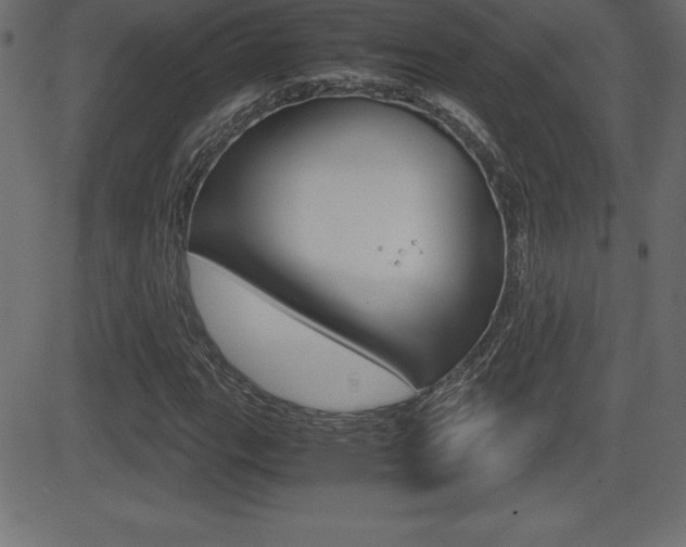 X0000081471111200701121008