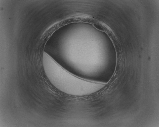 X0000081471112200701121009