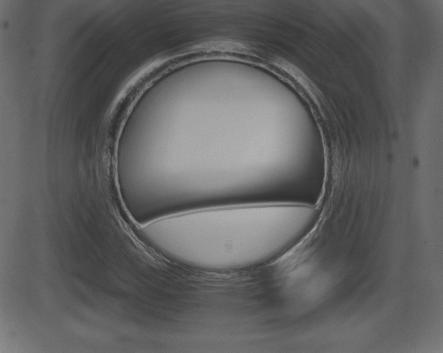 X0000081471115200701121009