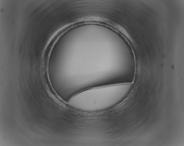 X0000081471116200701121009