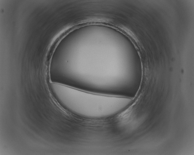 X0000081471119200701121009