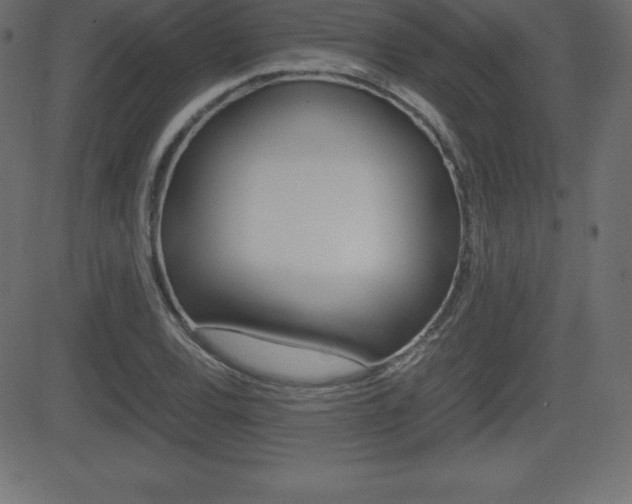 X0000081471120200701121009