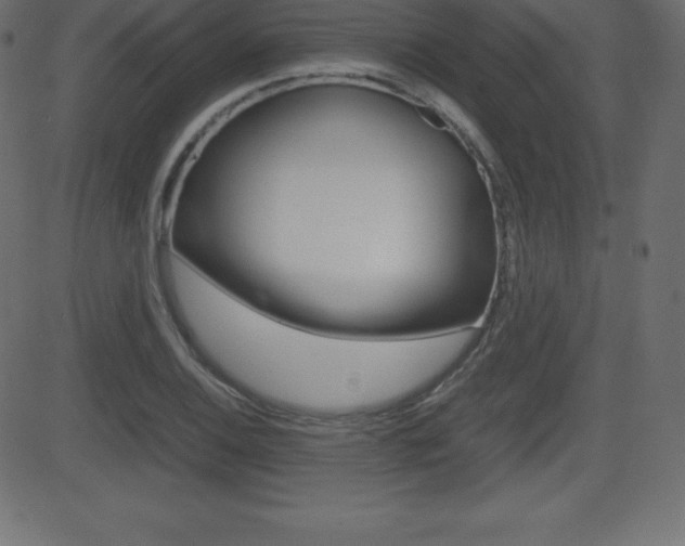 X0000081471124200701121009