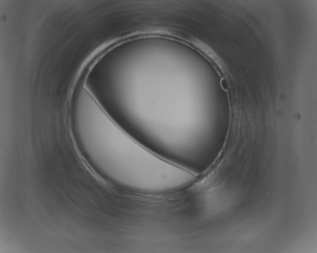 X0000081471127200701121009