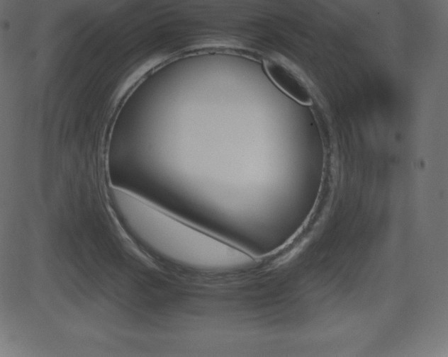 X0000081471129200701121009