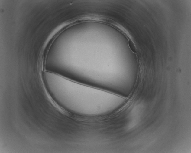 X0000081471131200701121009
