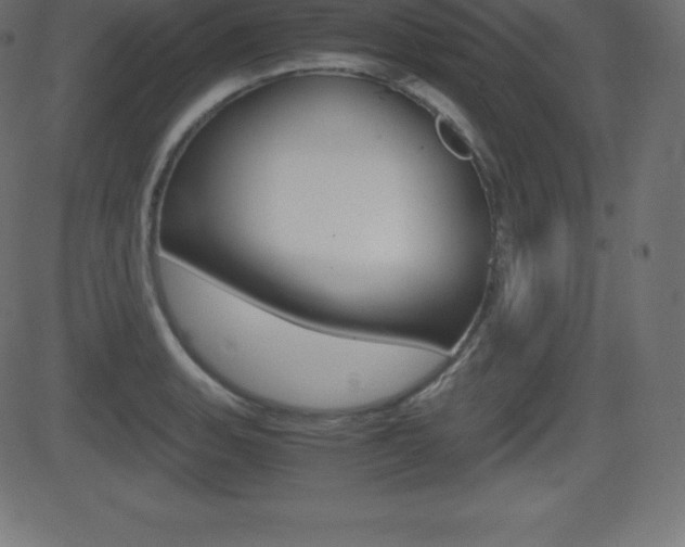 X0000081471135200701121009