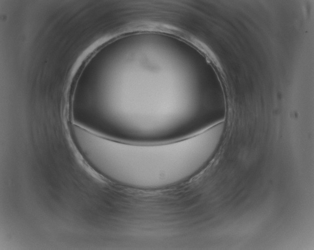 X0000081471136200701121009