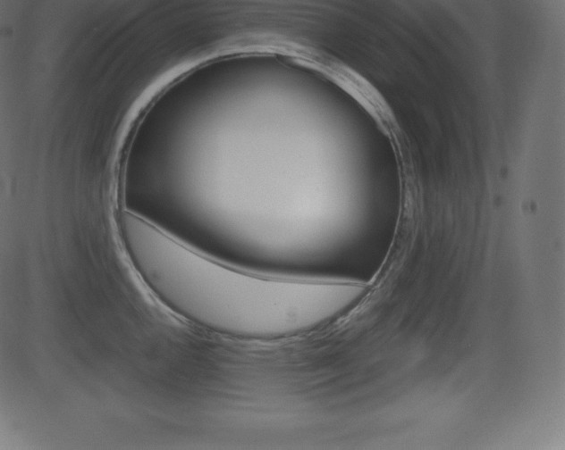 X0000081471144200701121009