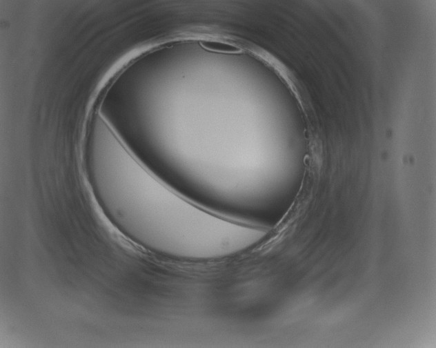 X0000081471147200701121009