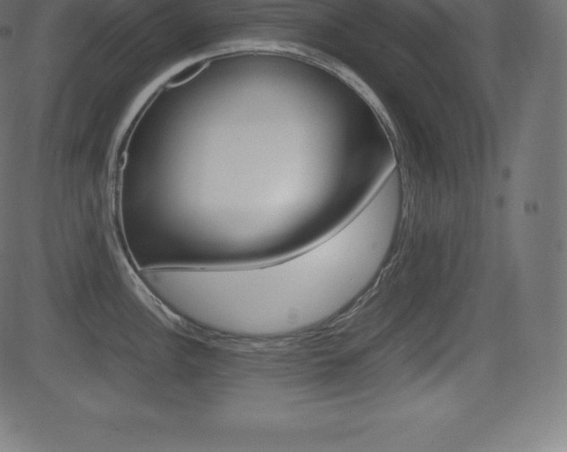X0000081471148200701121009