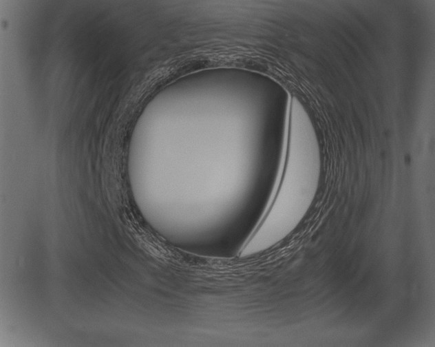 X0000081471153200701121008